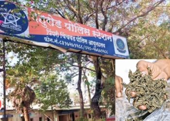 रक्षकच बनले भक्षक; गांजाच्या खोट्या गुन्ह्यात अडकवण्याची धमकी देत पोलिसांनी उकळले पैसे
