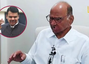 “जबाबदारीच्या पदावर बसलेली लोक पोरकट बोलतात”; शरद पवारांनी शिंदे-फडणवीसांना फटकारलं