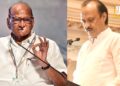 ‘मीच एकटा आहे, हे भासवणं म्हणजे लोकांना भावनिक होणं’; काकांनी सांगितला ‘भावनिक’ शब्दाचा अर्थ
