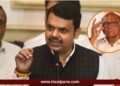 शरद पवार अशा धमक्या द्यायला लागले तर…; आमदार शेळकेंबाबतच्या ‘त्या’ वक्तव्यावर फडणवीसांची प्रतिक्रिया