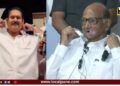 “माझ्या बारशात जेवलेल्या लोकांबद्दल मी काय बोलू?, पण आता मी बच्चा राहिलो नाही” -उदयनराजे भोसले