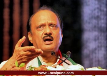 ‘आम्ही अजितदादांसाठी सत्ता आणायची का? त्यांना महायुतीतून बाहेर काढा’; भाजप कार्यकर्त्यांची खदखद