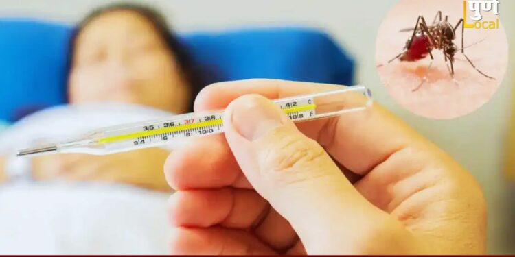पुण्यात डेंग्यू रुग्णसंख्या वाढली; पालिका प्रशासनाकडून प्रतिबंधात्मक उपायोजना