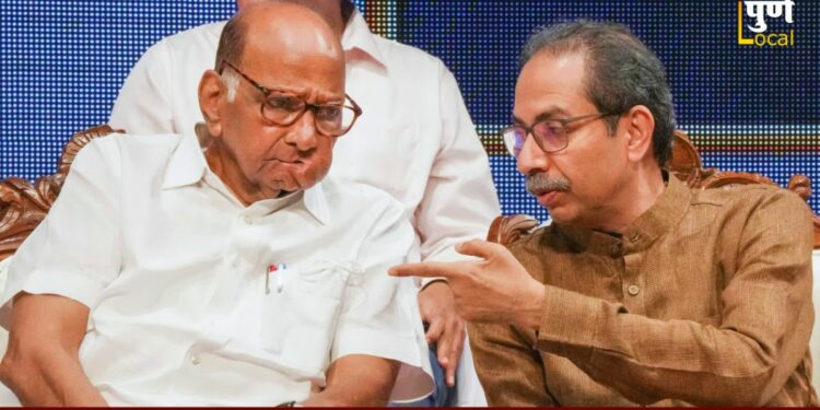 Sharad Pawar and Uddhav Thackeray