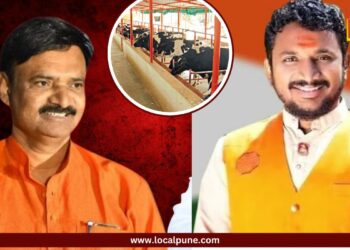 ‘अजितदादांकडे ५५ गायींचा गोठा’, ‘तुतारीवाले गोठा साफ करायला’; उत्तम जानकर- मिटकरी यांच्यात जुंपली