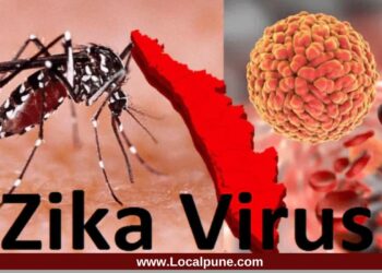 Zika Virus