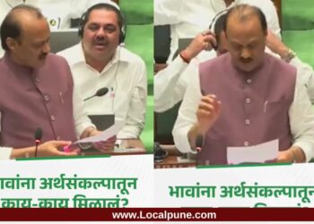 अजित पवारांनी भर सभागृहात सांगितले, ‘भावांना अर्थसंकल्पातून काय-काय मिळालं?’ वाचा सविस्तर..