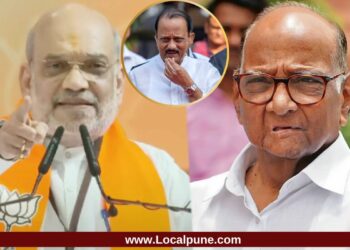 अमित शहांनी शरद पवारांवर केलेल्या ‘त्या’ टीकेवर अजित पवारांच्या आमदाराची नाराजी; राजकीय वर्तुळात चर्चेला उधाण