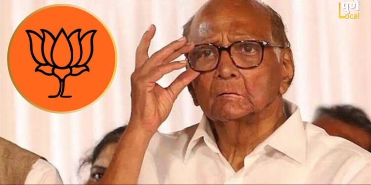 हिम्मत असेल तर शरद पवारांनी….; अमित शहांनंतर आता पुणे भाजपचं शरद पवारांना ओपन चॅलेंज