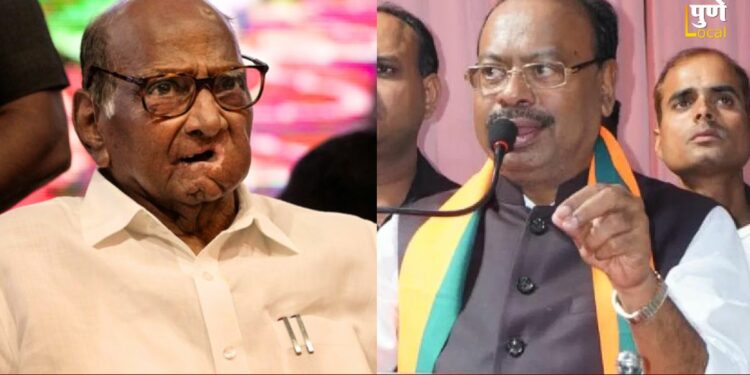 शरद पवारांची वक्तव्यं महाराष्ट्रात दंगल घडवणारी; बावनकुळेंचा गंभीर आरोप