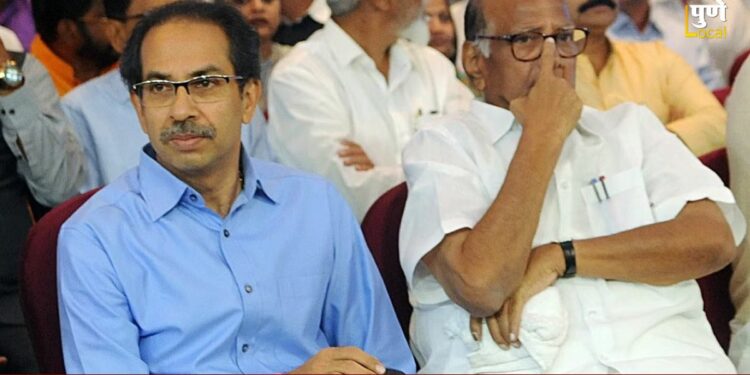 विधानसभेची तयारी! ठाकरे गटाकडून निवडणूक लढण्यास इच्छुक असणाऱ्यांनी घेतली शरद पवारांची भेट