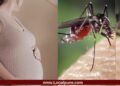 Zika Virus: पुण्यात झिकाचा धोका वाढला; आणखी २ गर्भवती महिलांना संसर्ग