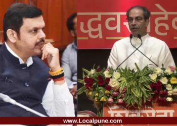 ‘ढेकणाला आव्हान द्यायचं नसतं, त्यांना…’; उद्धव ठाकरेंनी फडणवीसांना दिली ढेकणाची उपमा