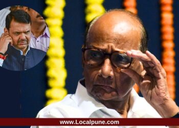 शरद पवारांचा आणखी एक मास्टरस्ट्रोक; भाजपचा विद्यमान आमदार लागणार गळाला?