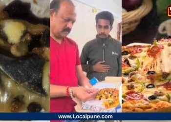 पिझ्झा, बर्गर खाताय तर सावधान! पिझ्झामध्ये सापडला चाकूचा तुकडा