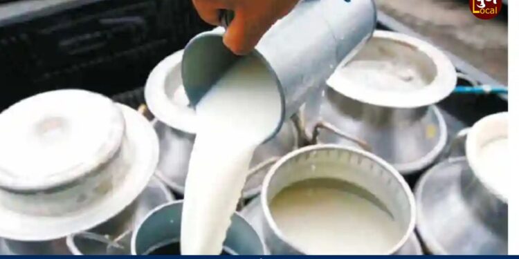 Milk