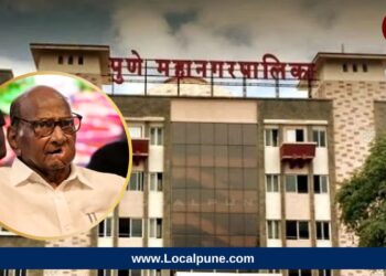 ऐन निवडणुकीच्या तोंडावर शरद पवारांना मोठा धक्का; विश्वासू नेत्याने घेतला राजकारणातून संन्यास?