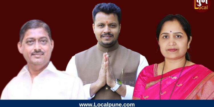 भाजपच्या बंडखोरांना ‘दादांची’ साथ, भाजपकडून बंडोबांच्या बंदोबस्ताला सुरुवात