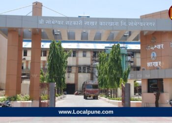 someshwar sugar factory
