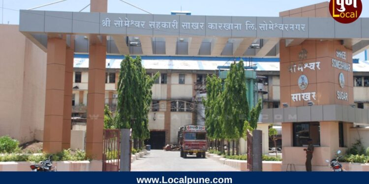 someshwar sugar factory